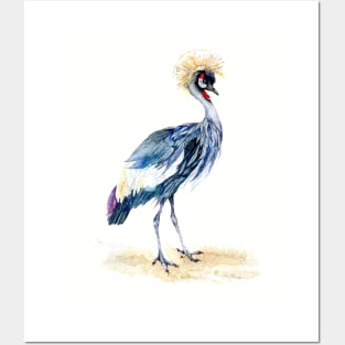 African Crane Posters and Art